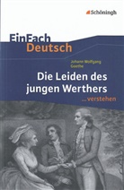 Hendrik Madsen, Hendrik Madsen, Johann Wolfgang von Goethe, Diekhan, Diekhans, Völk... - Johann Wolfgang von Goethe 'Die Leiden des jungen Werthers'
