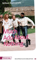 John Maxwell Coetzee, William Shakespeare, Rebecc Engel, Rebecca Engel, Pugh, Pugh... - Much Ado About Nothing