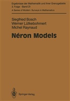 Siegfrie Bosch, Siegfried Bosch, Werne Lütkebohmert, Werner Lütkebohmert, Mic Raynaud, Michel Raynaud - Néron Models