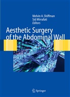 Melvi A Shiffman, Melvin A Shiffman, Mirrafati, Mirrafati, Sid Mirrafati, Melvin A. Shiffman - Aesthetic Surgery of the Abdominal Wall
