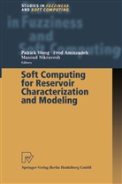 Fre Aminzadeh, Fred Aminzadeh, Masoud Nikravesh, Patrick Wong - Soft Computing for Reservoir Characterization and Modeling