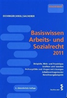 Julia Eichinger, Linda Kreil, Remo Sacherer - Basiswissen Arbeits- und Sozialrecht 2011