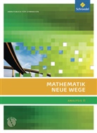 Michael Bostelmann, Christian Fehse, Benno Grabinger, Annelies Paulitsch, Kerstin Pauser, Karl Reichmann... - Mathematik Neue Wege SII, Allgemeine Ausgabe 2011: Mathematik Neue Wege SII - Analysis II, allgemeine Ausgabe 2011