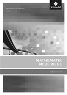 Michael Bostelmann, Christian Fehse, Benno Grabinger, Annelies Paulitsch, Kerstin Pauser, Karl Reichmann... - Mathematik Neue Wege SII, Allgemeine Ausgabe 2011: Mathematik Neue Wege SII - Analysis II, allgemeine Ausgabe 2011