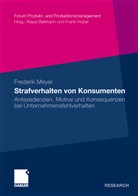 Frederik Meyer - Strafverhalten von Konsumenten