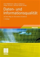 Marcu Gebauer, Marcus Gebauer, Knut Hildebrand, Holger Hinrichs, Holger Hinrichs u a, Michael Mielke - Daten- und Informationsqualität