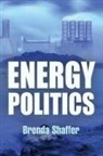 Brenda Shaffer, SHAFFER BRENDA - Energy Politics