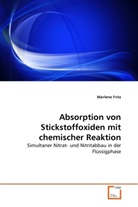 Marlene Fritz - Absorption von Stickstoffoxiden mit chemischer Reaktion