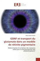 Marie-Noelle Delyfer, Delyfer-M - Gdnf et transport du glutamate