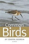 Jim Wilson - Common Birds of Coastal Georgia