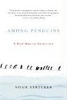 Noah Strycker - Among Penguins