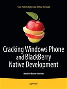 Matthew Baxter-Reynolds, Matthew Reynolds - Multimobile Development