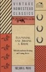 Nelson S. Mayo - Examining and Judging a Horse - With Information on Breaking and Training Horses