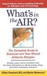 Marian Betancourt, Gillian Shepherd, Gillian/ Betancourt Shepherd - What's in the Air?