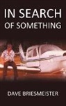 Dave Briesmeister - In Search of Something
