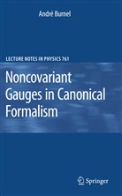 André Burnel - Noncovariant Gauges in Canonical Formalism