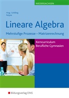 Marion Patyna, Marion Patyna, Klau Schilling, Klaus Schilling - Mathematik - Ausgabe für das Kerncurriculum für Berufliche Gymnasien in Niedersachsen