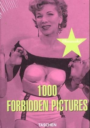 Mark Lee Rotenberg - 1000 forbidden pictures