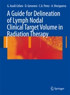 Carlo A Perez, Carlos A Perez, Giampiero Ausili Cefaro, Gianpiero Cefaro Ausili, Domenico Genovesi, Domenico Genovesi et al... - A Guide for Delineation of Lymph Nodal Clinical Target Volume in Radiation Therapy