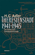 H G Adler, H. G. Adler, Hans G. Adler, Jeremy Adler - Theresienstadt 1941-1945