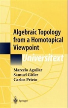 Marcelo A. Aguilar, Samuel Gitler, Carlos Prieto - Algebraic Topology from a Homotopical Viewpoint
