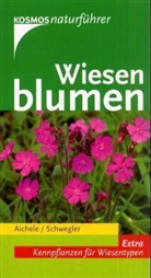 Dietmar Aichele, Heinz-Werner Schwegler - Wiesenblumen