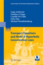 Luig Ambrosio, Luigi Ambrosio, Gianluc Crippa, Gianluca Crippa, Camill De Lellis, Camillo De Lellis... - Transport Equations and Multi-D Hyperbolic Conservation Laws