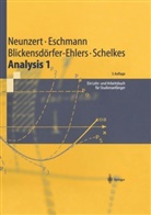 Blickensdörfer-Eh, Arndt Blickensdörfer-Ehlers, Winfried Eschmann, Winfried G Eschmann, Winfried G. Eschmann, Neunzert... - Analysis, 2 Bde. - 1: Analysis 1 - Ein Lehr- und Arbeitsbuch für Studienanfänger