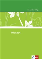 Arbeitsblätter Biologie, Sekundarstufe I: Pflanzen, m. 1 CD-ROM