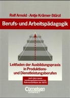 Rolf Arnold, Antje Krämer-Stürzl - Berufs- und Arbeitspädagogik
