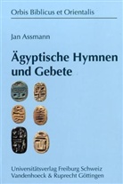 Jan Assmann - Ägyptische Hymnen und Gebete