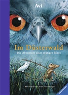 Avi - Im Düsterwald
