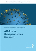 Wolfgan Martin Roth, Wolfgang M Roth, Wolfgang M. Roth, Wolfgang Martin Roth, Shaked, Josef Shaked... - Affekte in therapeutischen Gruppen
