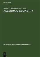 Mauro C. Beltrametti, Fabrizi Catanese, Fabrizio Catanese, Ciro Ciliberto, Ciro Ciliberto et al, Antonio Lanteri... - Algebraic Geometry