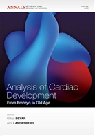 Rafael Beyar, Rafael Landesberg Beyar, Amir Landesberg, Rafae Beyar, Rafael Beyar, Landesberg... - Analysis of Cardiac Development
