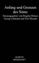 Brigitte Hilmer, Georg Lohmann, Thilo Wesche, Tilo Wesche - Anfang und Grenzen des Sinns
