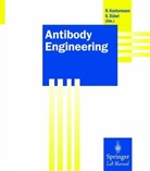 Antibody Engineering