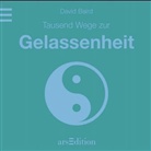 David Baird - Tausend Wege zur Gelassenheit