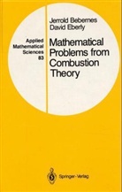 Jerrold Bebernes, David H. Eberly - Mathematical Problems from Combustion Theory