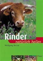 Wolfgang Becvar - Rinder natürlich heilen