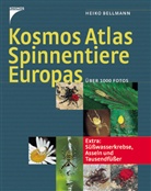 Heiko Bellmann - Kosmos Atlas Spinnentiere Europas