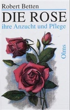 Robert Betten, Rober Türke - Die Rose