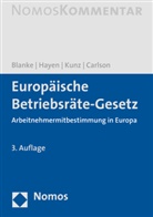 Thomas Blanke - Europäisches Betriebsräte-Gesetz, Kommentar