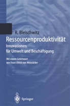 Raimund Bleischwitz - Ressourcenproduktivität
