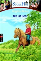 Brigitte Blobel - Neues vom Süderhof - Bd. 3: Neues vom Süderhof. Tl.3