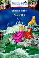 Brigitte Blobel - Neues vom Süderhof - Bd. 5: Neues vom Süderhof. Tl.5