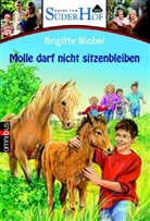 Brigitte Blobel - Neues vom Süderhof - Bd. 8: Neues vom Süderhof. Tl.8