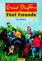 Enid Blyton - Fünf Freunde - Bd. 17: Fünf Freunde im Nebel