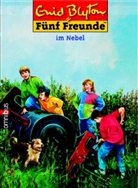 Enid Blyton - Fünf Freunde - Bd. 17: Fünf Freunde im Nebel