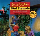 Enid Blyton, Oliver Petszokat - Fünf Freunde und die falsche Prinzessin, 2 Audio-CDs (Hörbuch)